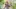 Video Platzhalter Video Platzhalter