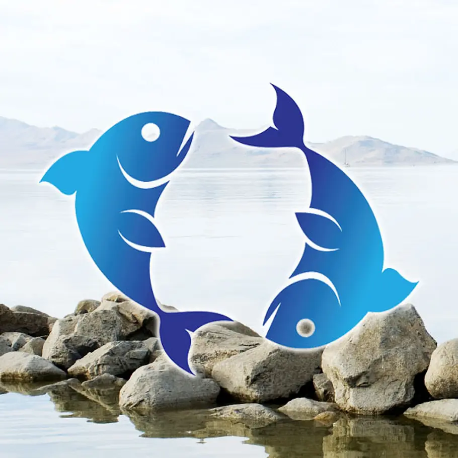 astro coaching balance finden fische