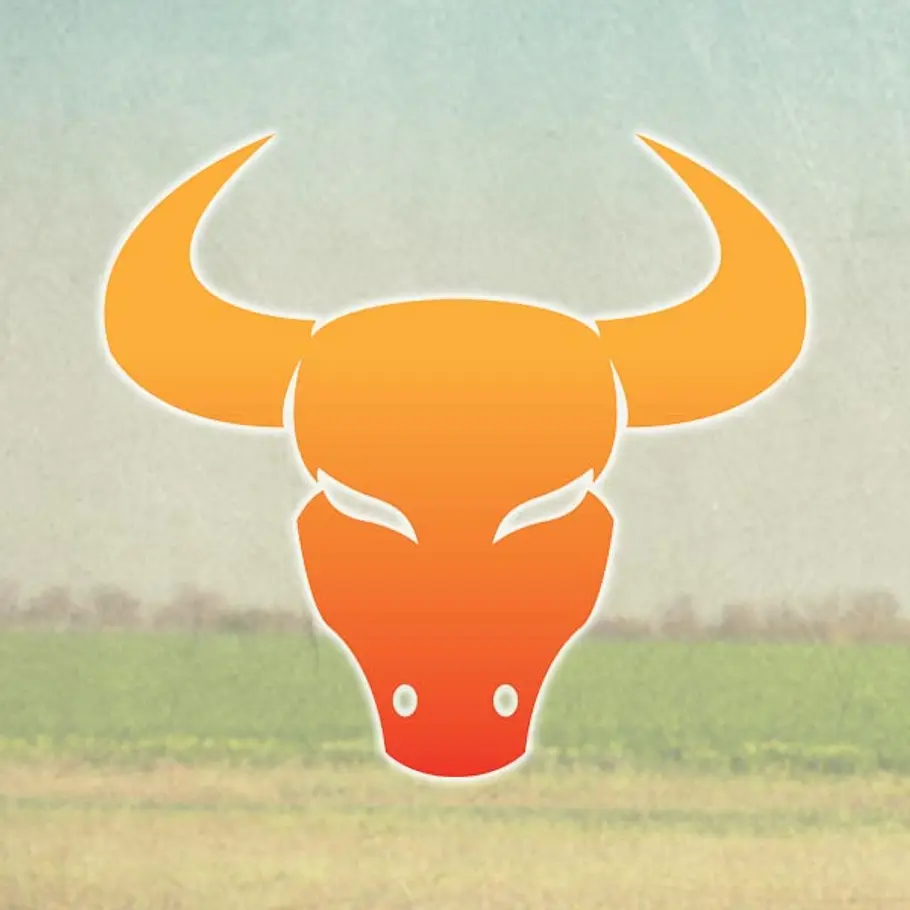 astro coaching bestimmung erkennen stier
