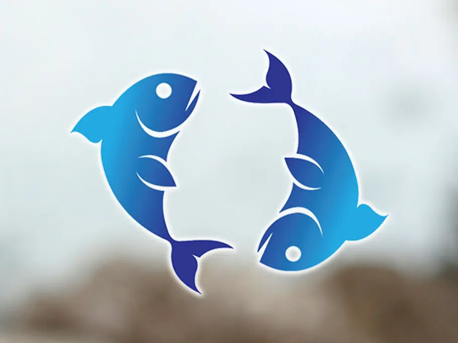 So lernen Fische Stress und Ärger zu vermeiden