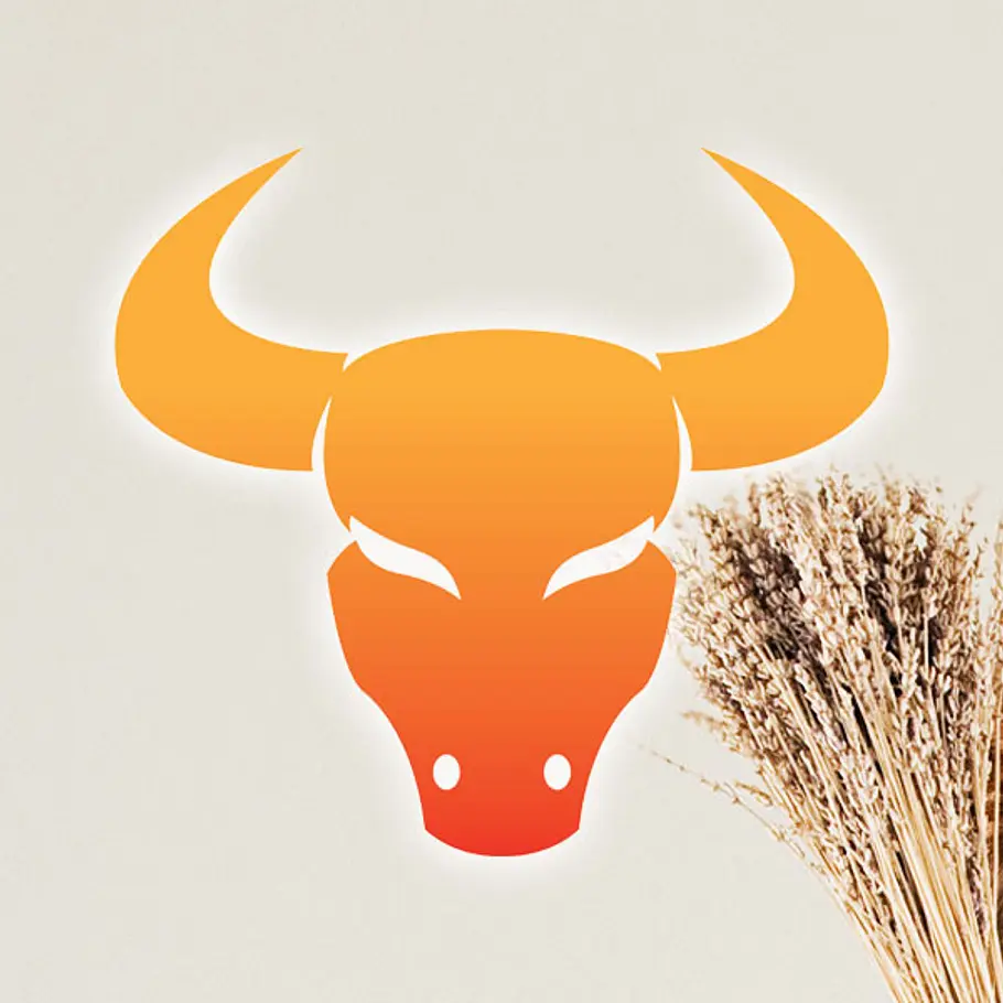 astro coaching jungfrau magie stier