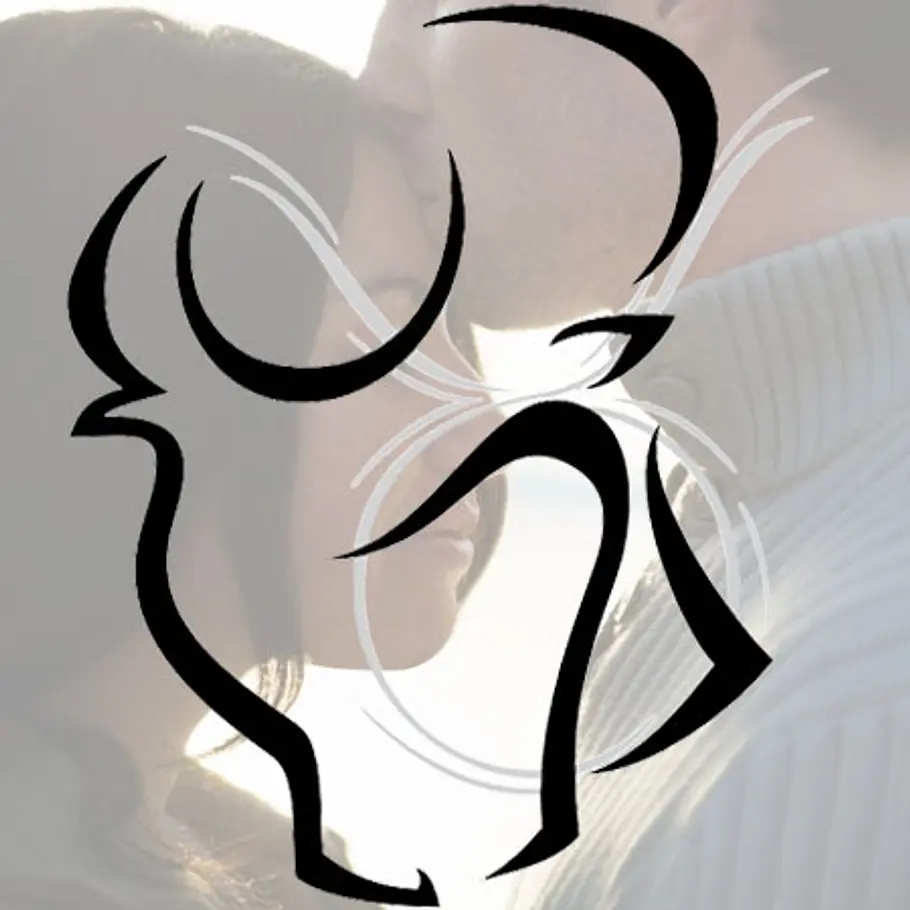 astro coaching liebe annehmen stier