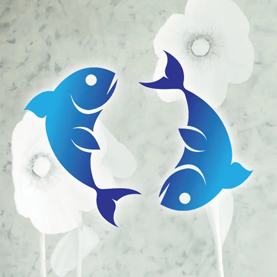 astro coaching magische welt fische