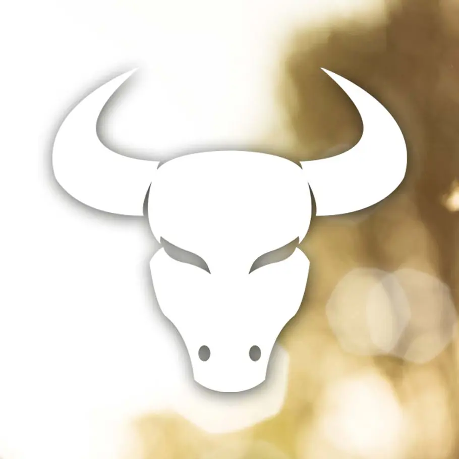 astro coaching nie mehr einsam stier