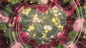 Astrologie-Spirale vor einem Herz aus Rosenblättern - Foto: Collage mit Fahad / AdobeStock & Paolo Gallo / AdobeStock Astrologie-Spirale vor einem Herz aus Rosenblättern - Foto: Collage mit Fahad / AdobeStock & Paolo Gallo / AdobeStock