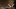 Video Platzhalter Video Platzhalter