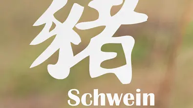 Das chinesische Horoskop 2017: Schwein - Foto: iStock & m.i.g.u.e.l./fotolia