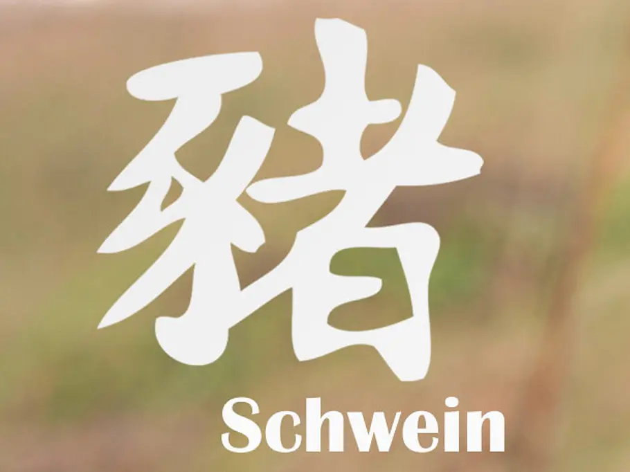 Das chinesische Horoskop 2017: Schwein