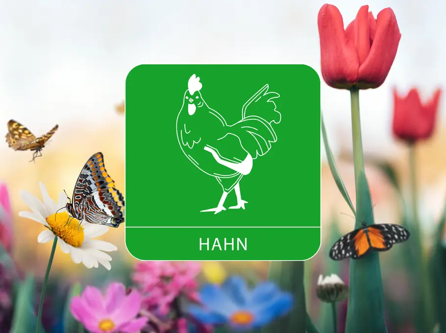 Das Sternzeichen Hahn umgeben von einer Blumenwiese und Schmetterlingen