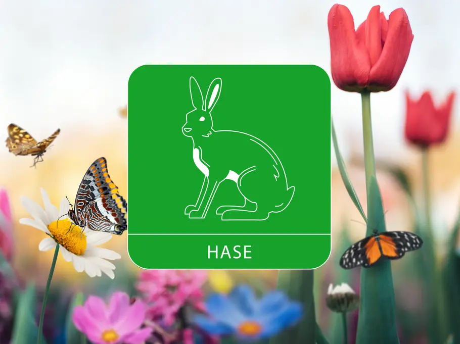 Das Sternzeichen Hase umgeben von einer Blumenwiese und Schmetterlingen