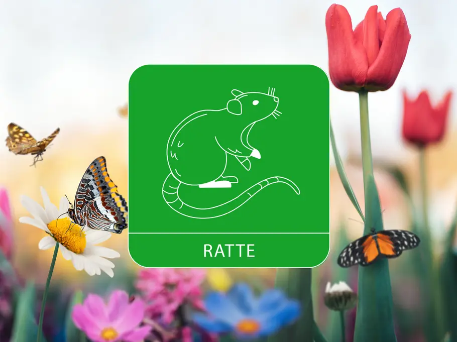 Das Sternzeichen Ratte umgeben von einer Blumenwiese und Schmetterlingen