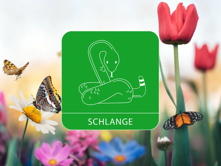 Das Sternzeichen Schlange umgeben von einer Blumenwiese und Schmetterlingen