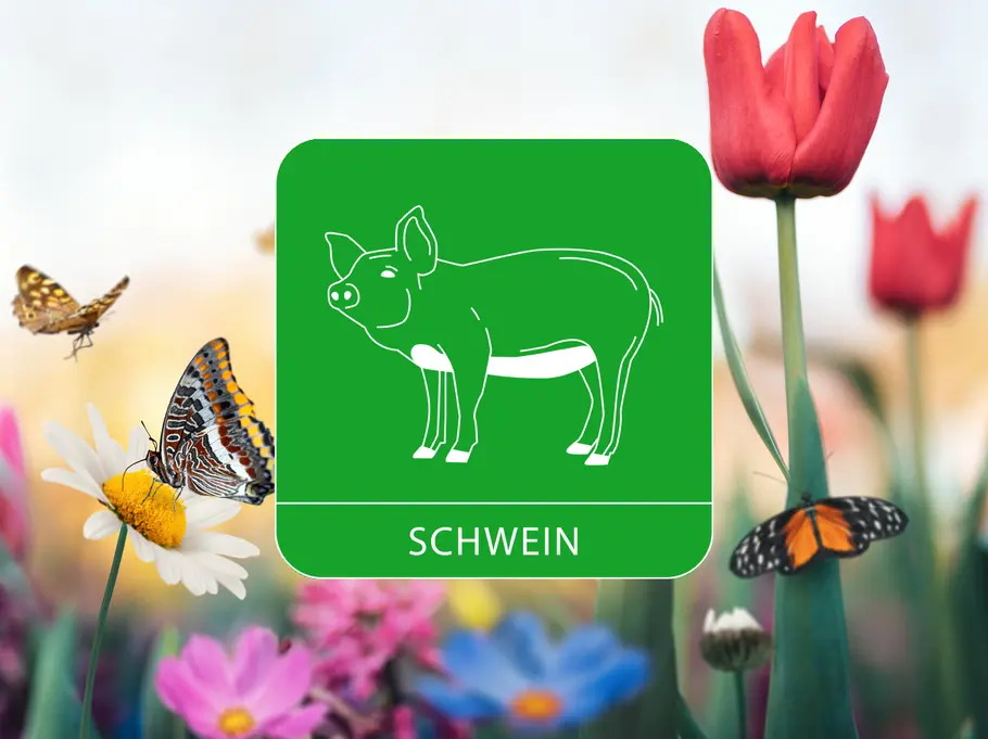 Das Sternzeichen Schwein umgeben von einer Blumenwiese und Schmetterlingen