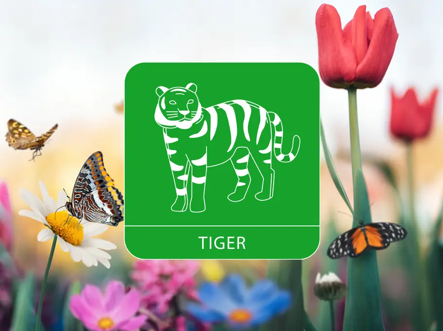 Das Sternzeichen Tiger umgeben von einer Blumenwiese und Schmetterlingen