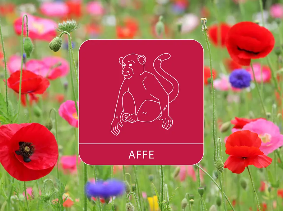 Das Sternzeichen Affe umgeben von einer Blumenwiese