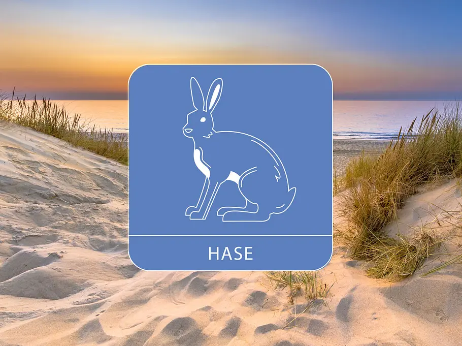 Chinesisches Monatshoroskop August Sternzeichen Hase