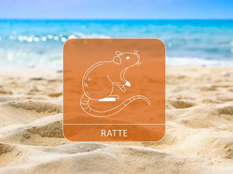 Das Sternzeichen Ratte umgeben von Sand und Meer