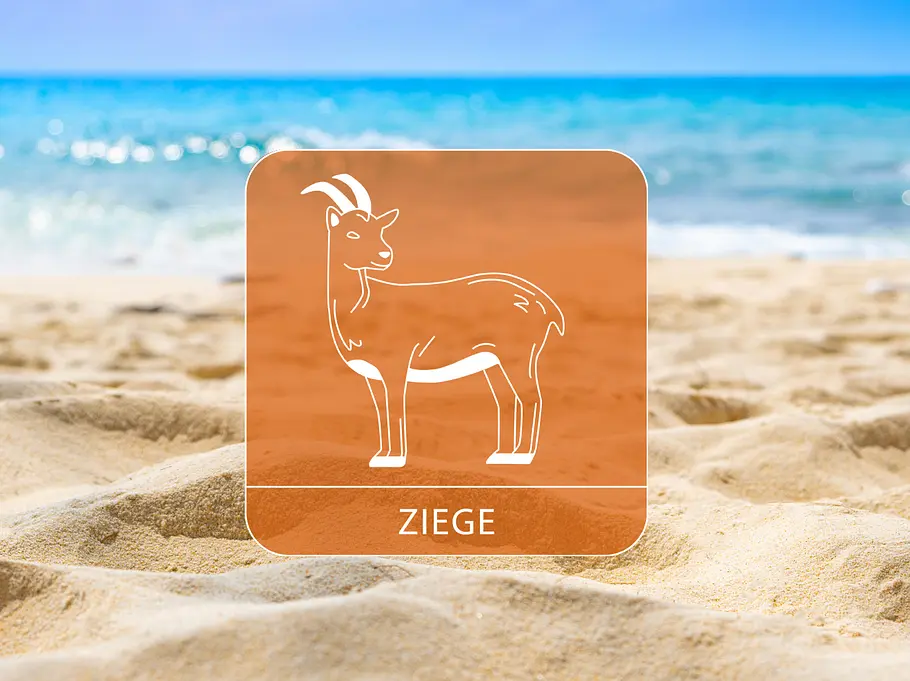Das Sternzeichen Ziege umgeben von Sand und Meer