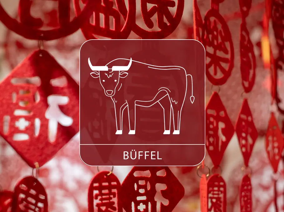 Das Sternzeichen Büffel vor einem roten, dekorativen Vorhang aus chinesischen Symbolen