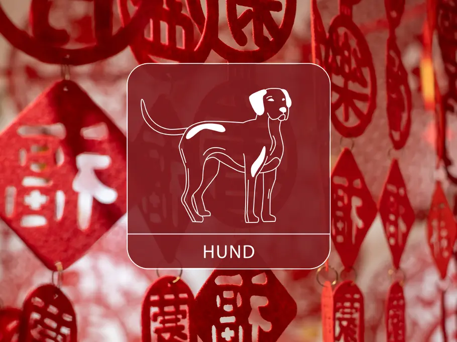 Das Sternzeichen Hund vor einem roten, dekorativen Vorhang aus chinesischen Symbolen