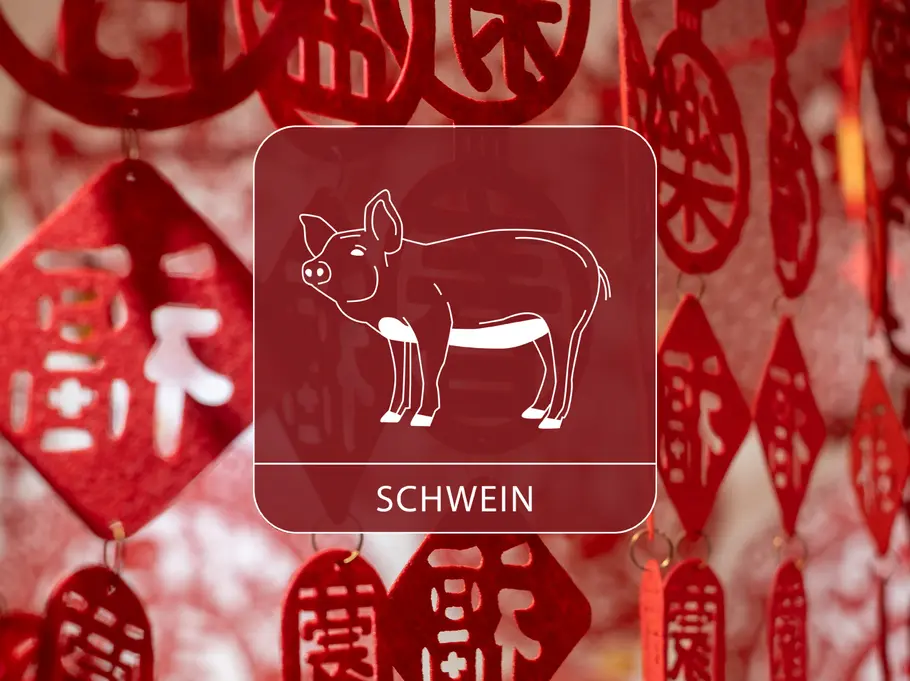 Das Sternzeichen Schwein vor einem roten, dekorativen Vorhang aus chinesischen Symbolen