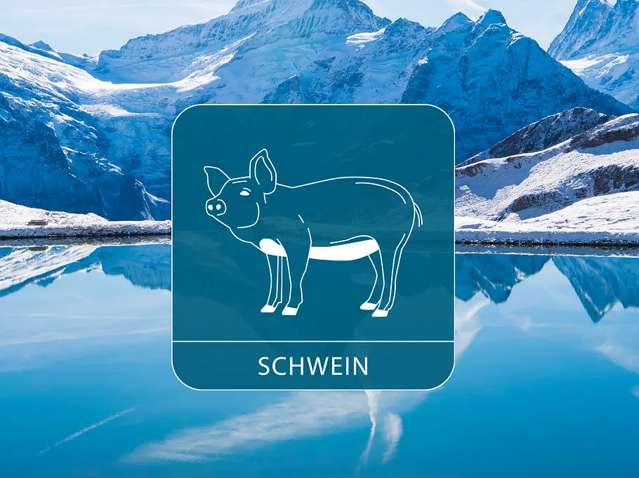 Das chinesische Sternzeichen Schwein vor verschneiten Bergen