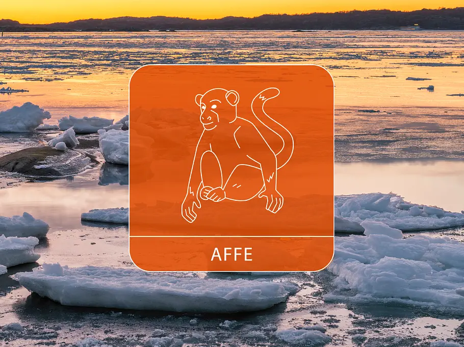 Der Affe vor Eisschollen an der Abendküste