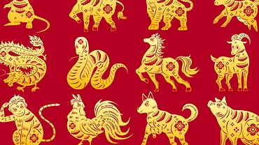 Chinesisches Sternzeichen berechnen: So geht es ganz einfach - Foto: iStock/ Lin Shao-hua Chinesisches Sternzeichen berechnen: So geht es ganz einfach - Foto: iStock/ Lin Shao-hua