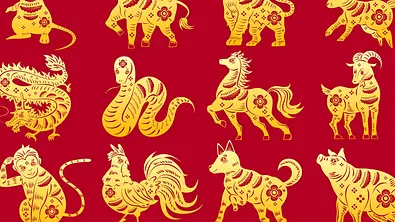Chinesisches Sternzeichen berechnen: So geht es ganz einfach - Foto: iStock/ Lin Shao-hua Chinesisches Sternzeichen berechnen: So geht es ganz einfach - Foto: iStock/ Lin Shao-hua