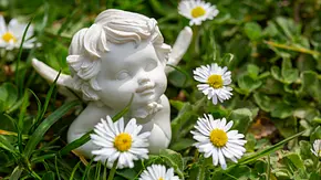 Kleine Engelsfigur im Garten mit Gänseblümchen - Foto: iStock/aloha_17 Kleine Engelsfigur im Garten mit Gänseblümchen - Foto: iStock/aloha_17