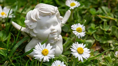 Kleine Engelsfigur im Garten mit Gänseblümchen - Foto: iStock/aloha_17 Kleine Engelsfigur im Garten mit Gänseblümchen - Foto: iStock/aloha_17