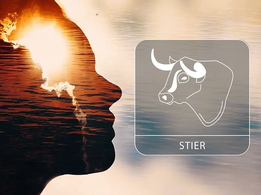 Eine Person als Silhouette, in die eine Sonnenuntergangslandschaft mit Wasser hineingeblendet ist neben dem Sternzeichen Stier