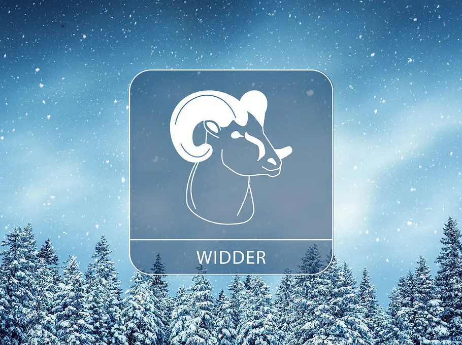Das große Winter-Horoskop 2025/2026 für das Sternzeichen Widder Vor einer winterlich, verschneiten Wald-Landschaft ist ein Bild des Sternzeichen Widder zu sehen.