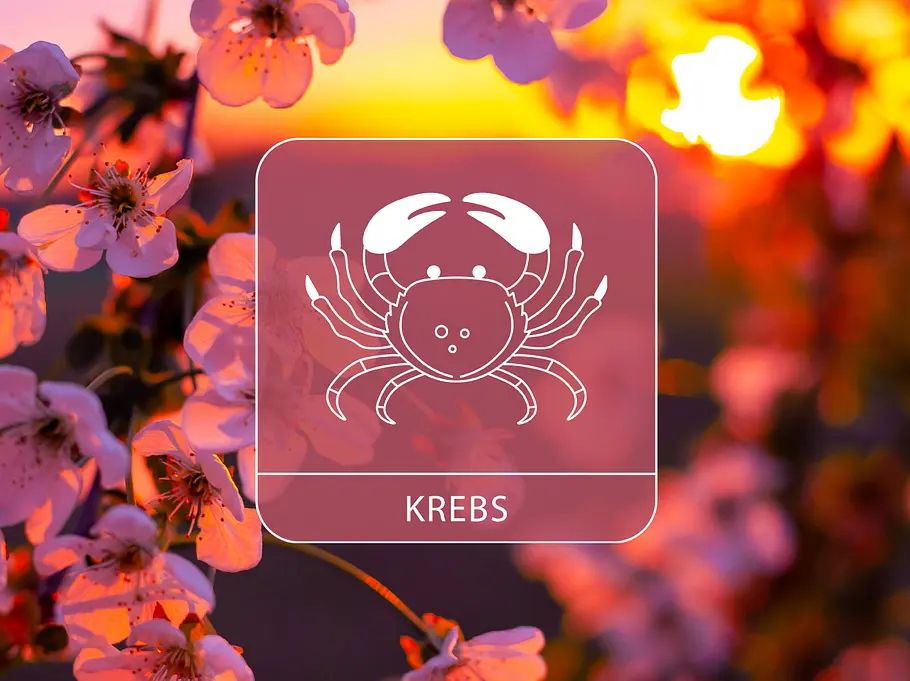 Das Sternzeichen Krebs vor einem blühenden Apfelbaum im Sonnenuntergang