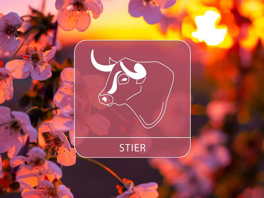 Das Sternzeichen Stier vor einem blühenden Apfelbaum im Sonnenuntergang