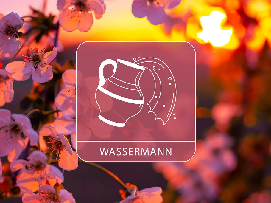 Das Sternzeichen Wassermann vor einem blühenden Apfelbaum im Sonnenuntergang