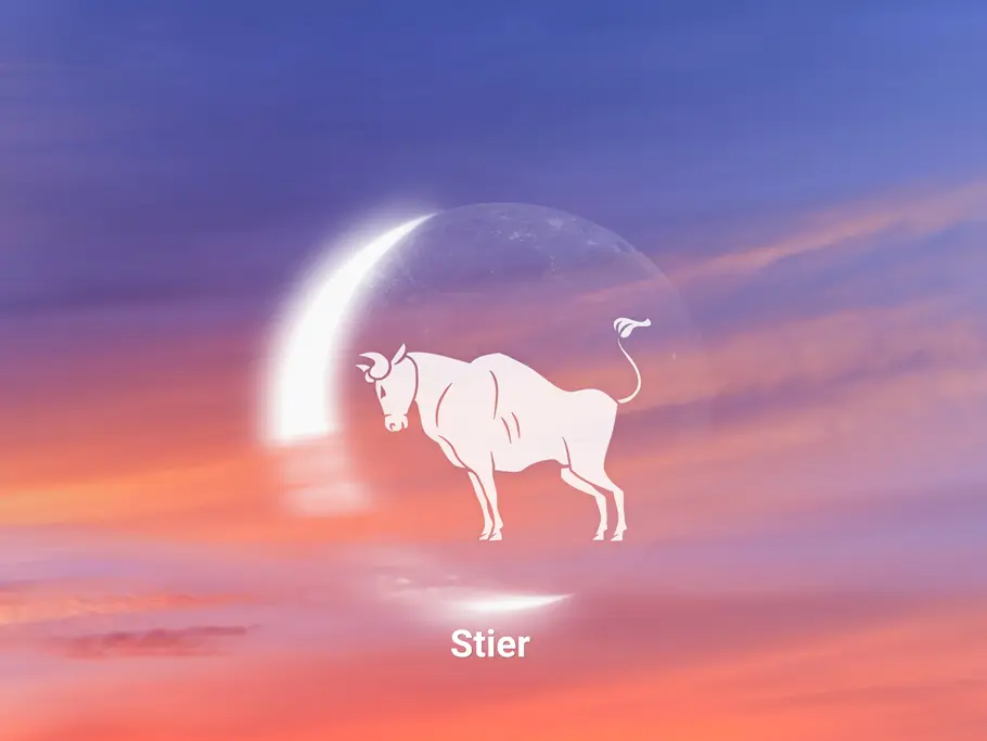 Das große Neumond-Horoskop ab 05.10.2026: Sternzeichen Stier Sternzeichen Stier in Neumond auf Sonnenuntergang Hintergrund