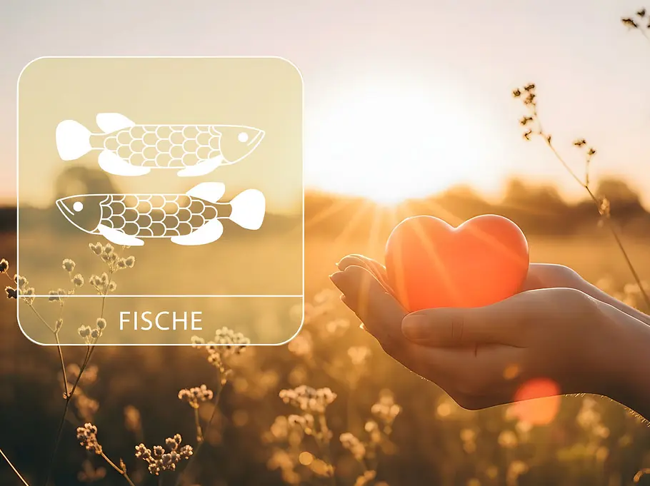 Sternzeichen Fische neben einer Hand, die ein rotes Herz vor einem Feld im Sommer hält