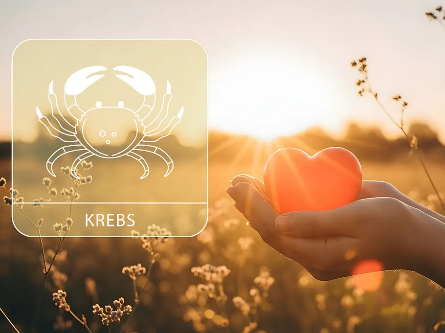 Sternzeichen Krebs neben einer Hand, die ein rotes Herz vor einem Feld im Sommer hält