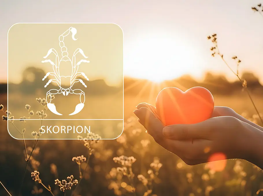 Sternzeichen Skorpion neben einer Hand, die ein rotes Herz vor einem Feld im Sommer hält