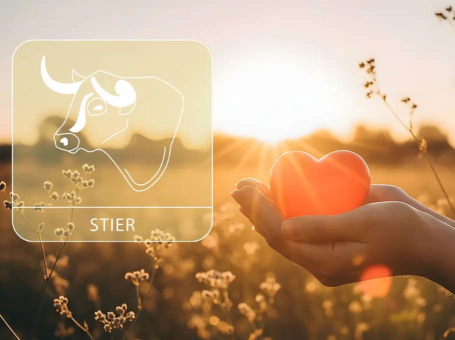Sternzeichen Stier neben einer Hand, die ein rotes Herz vor einem Feld im Sommer hält