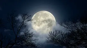 Der Vollmond umgeben von Nebel am Nachthimmel - Foto: ubjug/iStock Der Vollmond umgeben von Nebel am Nachthimmel - Foto: ubjug/iStock