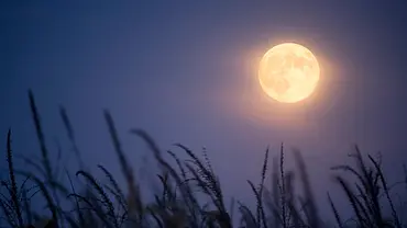 Der Vollmond über einem Feld bei Nacht - Foto: jimkruger/iStock Der Vollmond über einem Feld bei Nacht - Foto: jimkruger/iStock