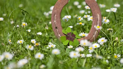 Hufeisen liegt auf einer grünen Wiese - Foto: iStock/diephosi