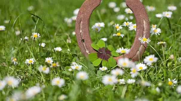 Hufeisen liegt auf einer grünen Wiese - Foto: iStock/diephosi
