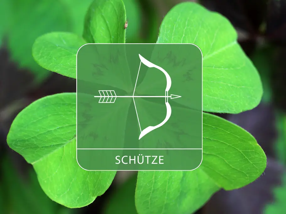 Das Sternzeichen Schütze auf einem großen Kleeblatt