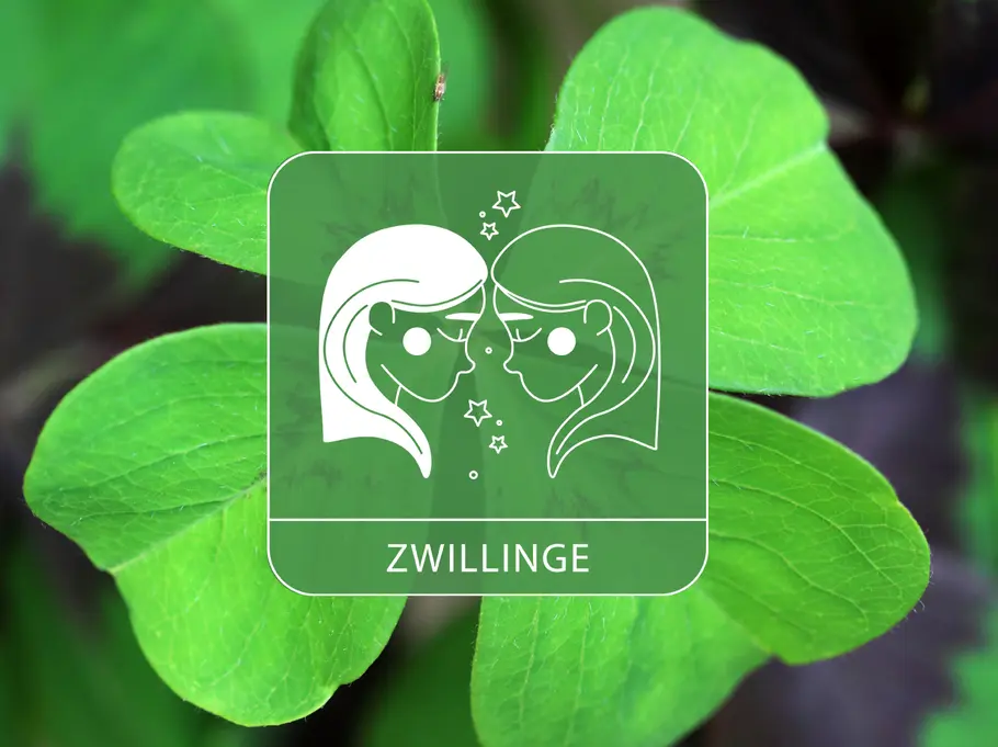 Das Sternzeichen Zwillinge auf einem großen Kleeblatt