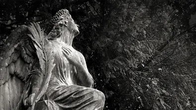 Ihr persönliches Engeltarot für diese Woche: 29.04. - 05.05.2019 - Foto: iStock