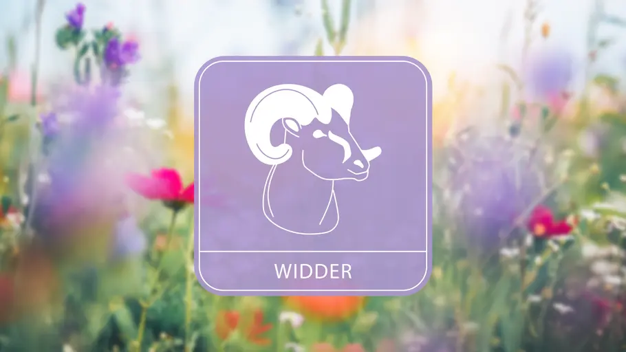 Das Frühlingshoroskop 2025: Sternzeichen Widder Sternzeichensymbol mit Blumen im Hintergrund