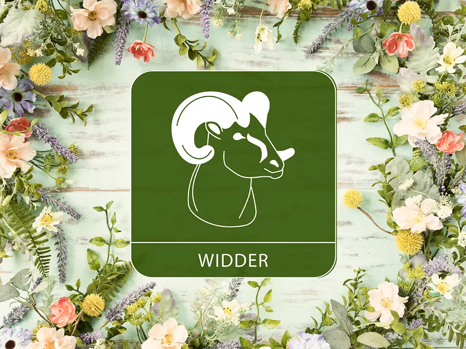 So nutzt der Widder erfolgreich den Frühling